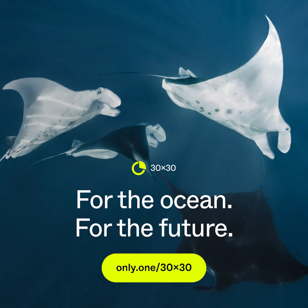 Tell World Leaders to Protect 30% of the Ocean by 2030