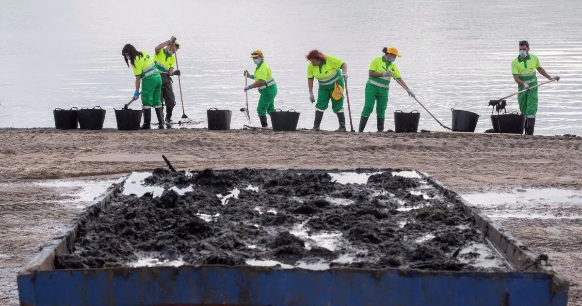 Eine Stimme für das Mar Menor: Personenrechte für die Natur