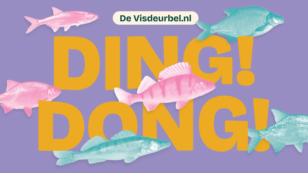 The Fish Doorbell — The Fish Doorbell