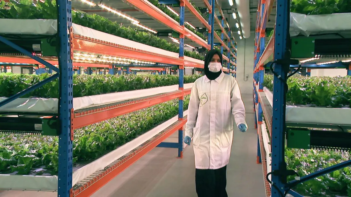 Weltspiegel: Dubai: Vertical Farming - hier anschauen